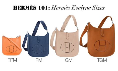 difrences between hermes evelyn bags|authentic Hermes evelyne bag.